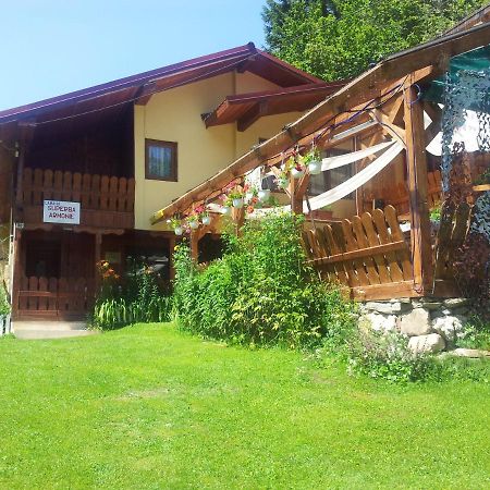 Cabana Suprema Armonie Dimbovicioara Exterior photo
