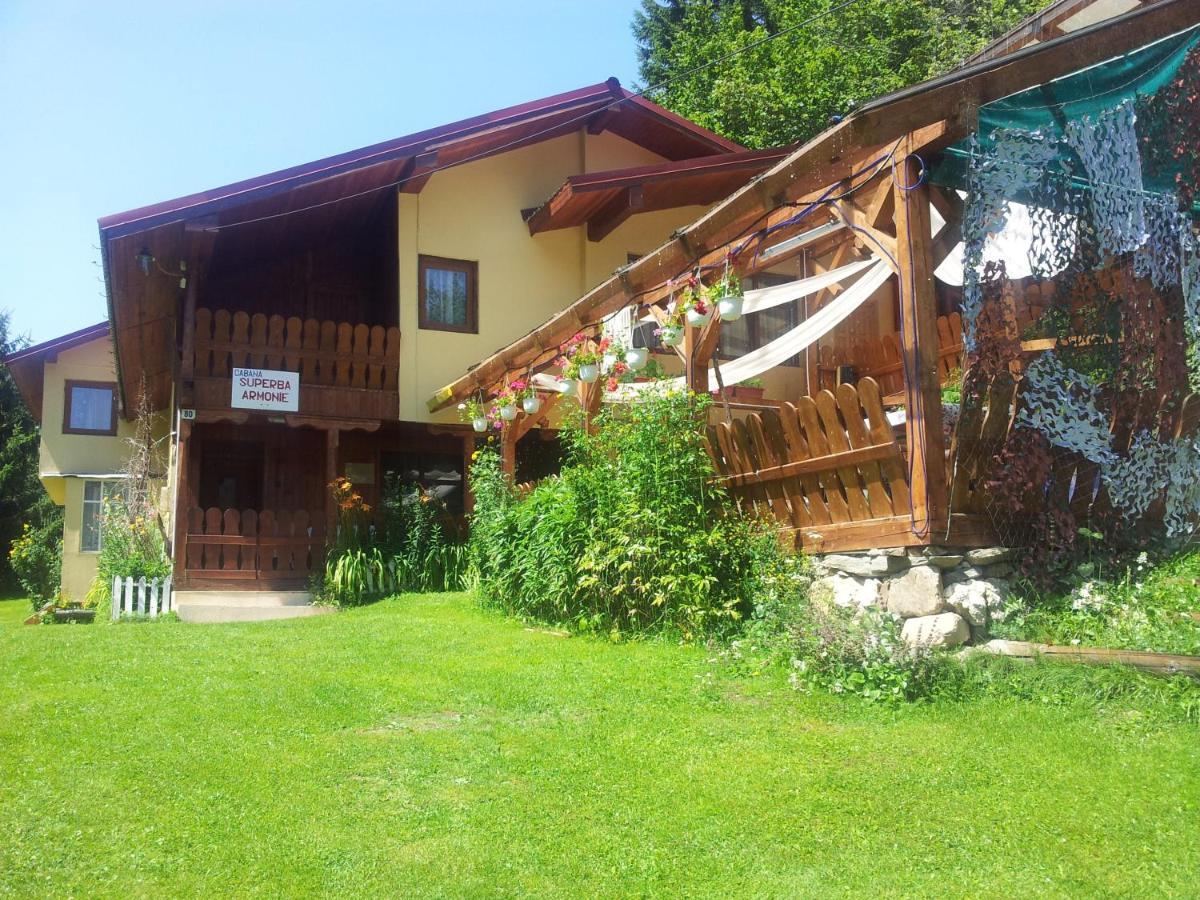 Cabana Suprema Armonie Dimbovicioara Exterior photo